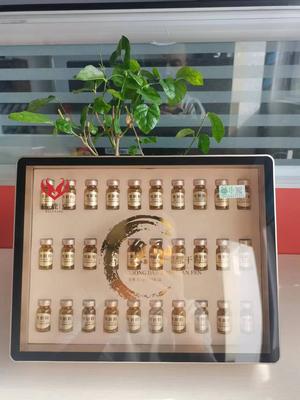 熊胆冻干粉透明装